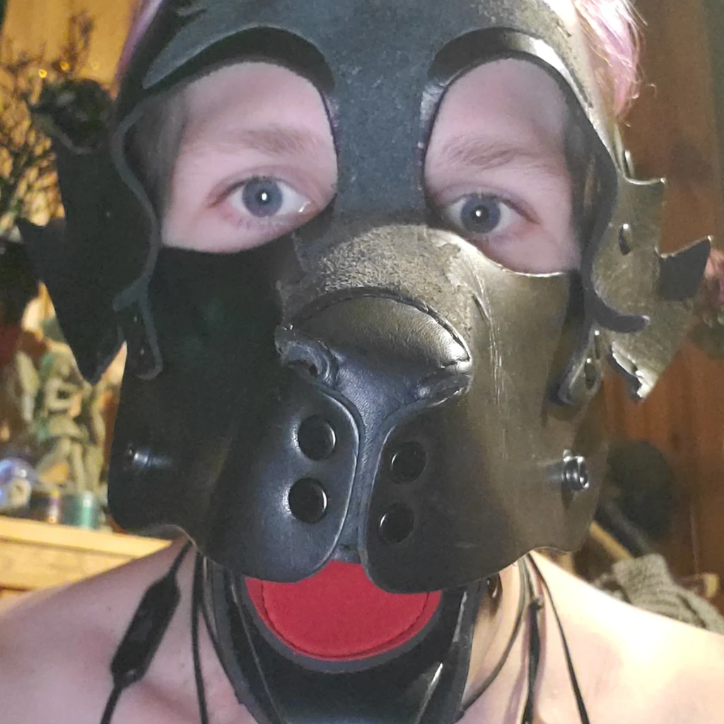 Zane-Pup